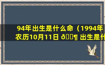 94年出生是什么命（1994年农历10月11日 🐶 出生是什么命）